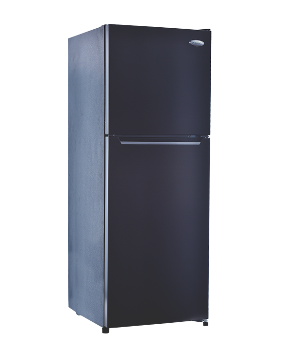 7.8 cu. ft. Two Door No Frost Dual Inverter Refrigerator_ET2RN219IV/C