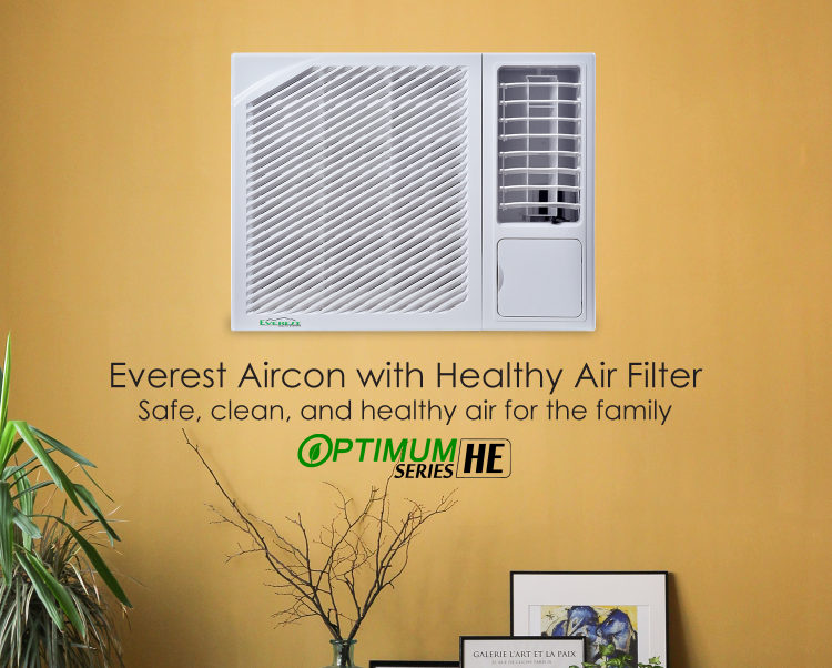 1.0 HP Window Type Aircon with Remote